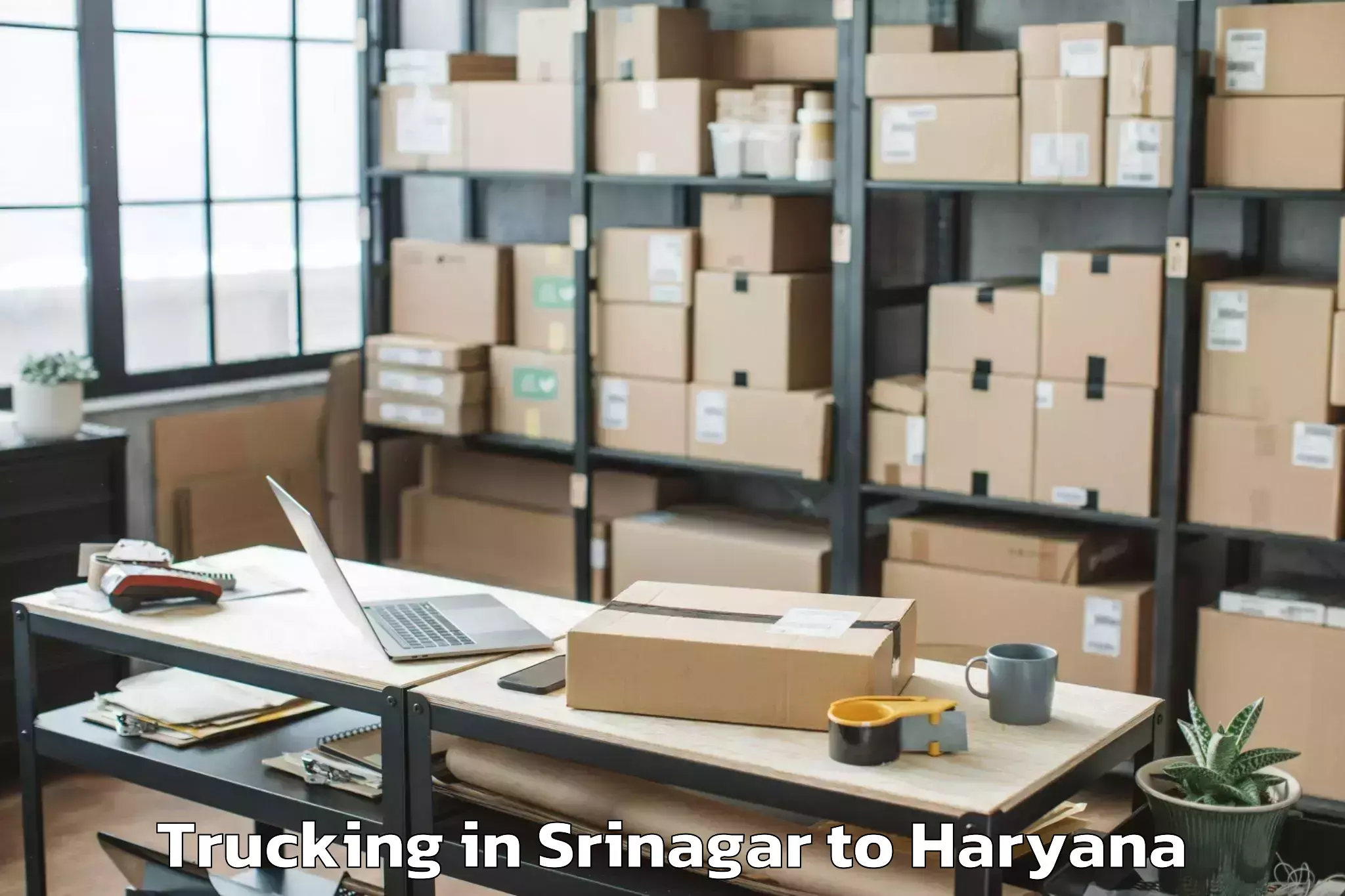 Book Srinagar to Hissar Airport Hss Trucking